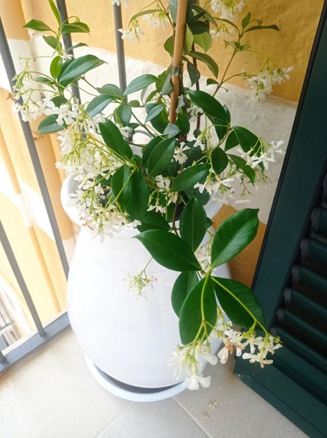 Holiday home Casa Carlotta