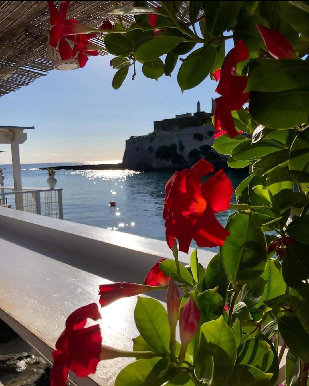 Holiday home Casa Carlotta *